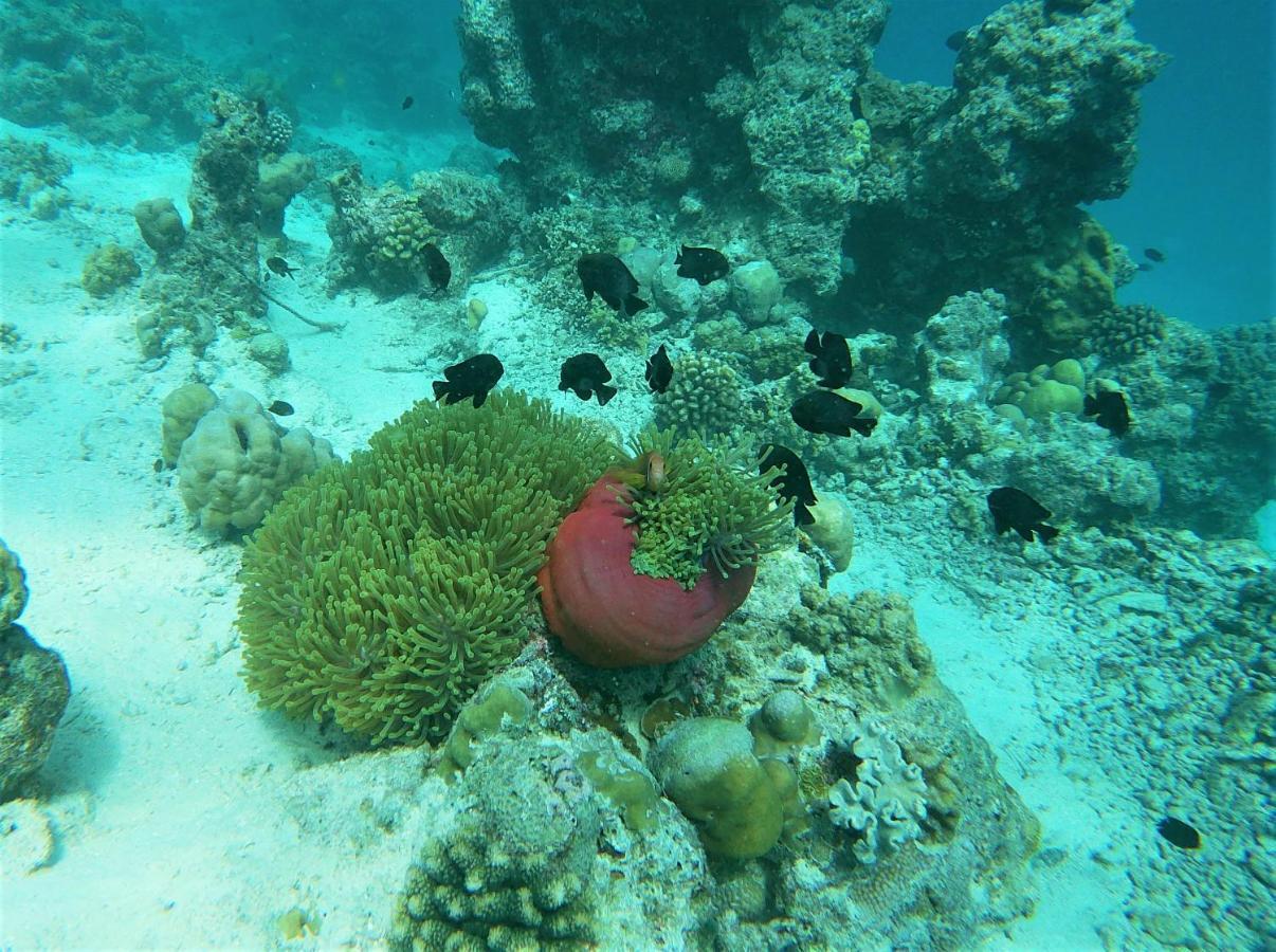 One The Island Hotel Naifaru Exterior foto