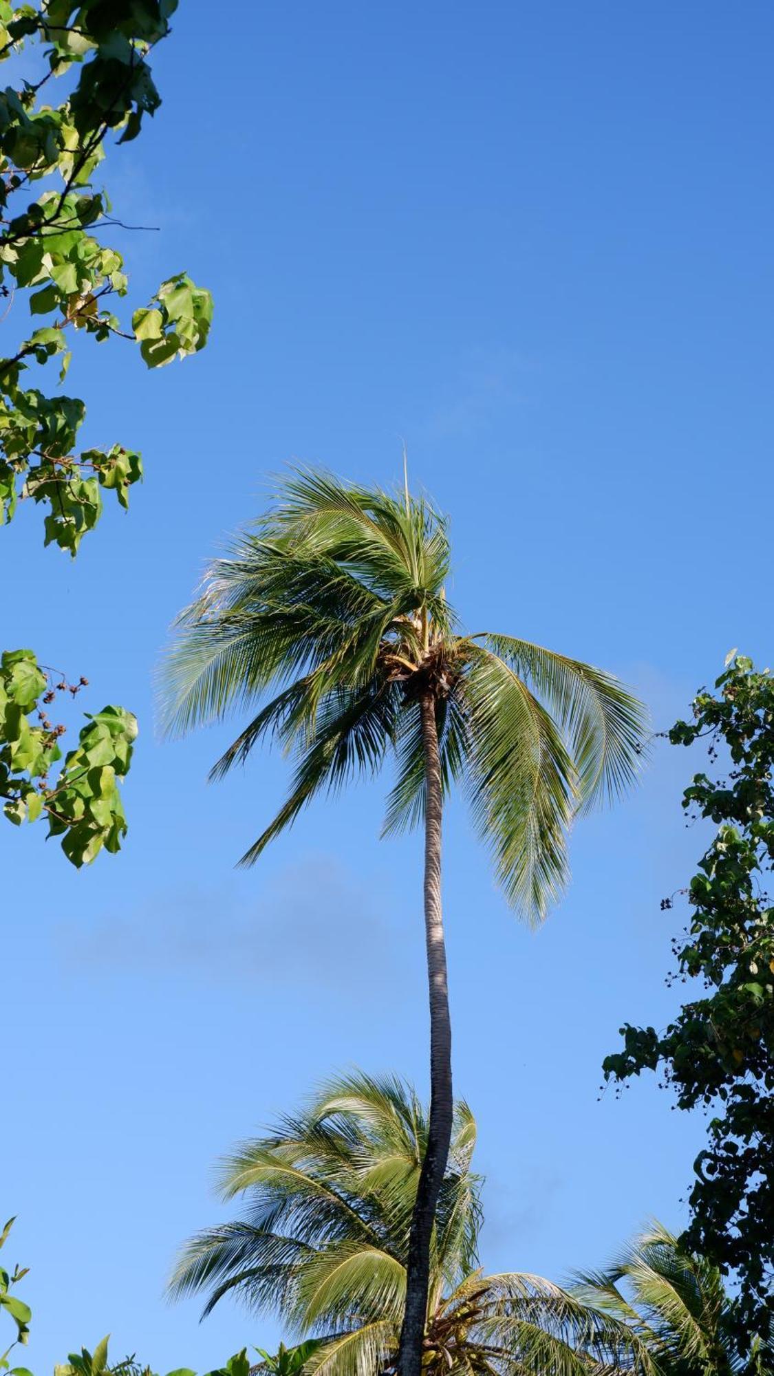 One The Island Hotel Naifaru Exterior foto